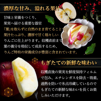 葉とらずサンふじ 厳選 小玉 約3kg ご家庭用りんご(訳あり) 青森県産リンゴ 青森林檎【配送不可地域：離島・沖縄県】