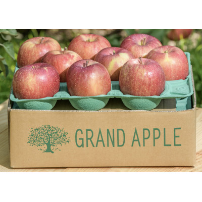 皮ごとバリッ!葉とらずサンふじ　特Aご家庭用 約3kg【配送不可地域：離島・沖縄県】