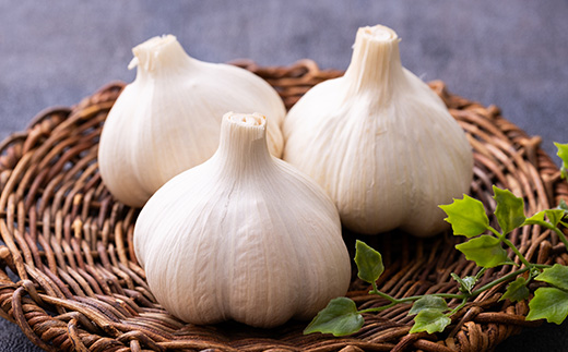 JA津軽みらいの厳選ときわにんにく個包装24玉【配送不可地域：離島・沖縄県】