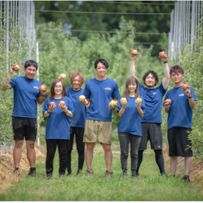 産地直送　葉とらずサンふじ　訳あり　約4kg【配送不可地域：離島・沖縄県】