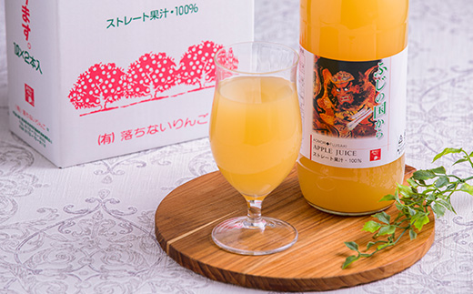 ふじの国からりんごジュース1リットル×2本入り×2箱 計4本(約4kg)【配送不可地域：離島・沖縄県】