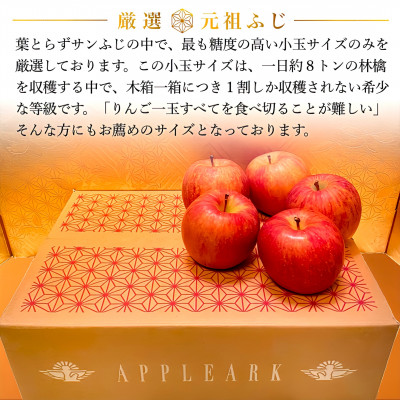 【2025年1月下旬～発送】葉とらずサンふじ 厳選小玉 約3kg ご家庭用(訳あり) 青森林檎【配送不可地域：離島・沖縄県】