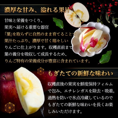 [年明け発送] 葉とらずサンふじ 厳選 小玉 約3kg ご家庭用りんご(訳あり) 青森リンゴ 林檎【配送不可地域：離島・沖縄県】