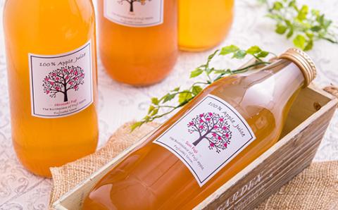 りんご「ふじ」発祥の地からの贈り物　無添加りんごジュース詰め合わせ　1L瓶×6本【配送不可地域：離島・沖縄県】