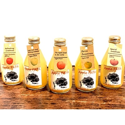 あっぷるぱぱ　小瓶180ml　5種バラエティー10本セット(各2本)　【配送不可地域：離島・沖縄県】