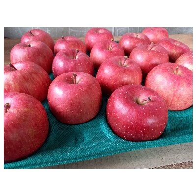 サンふじ 贈答品 約5kg(14～20個)【配送不可地域：離島・沖縄県】