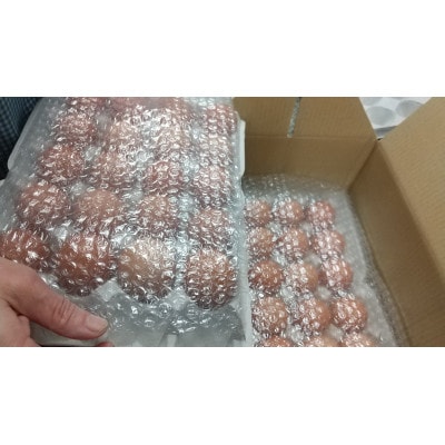 トキワのたまご(赤玉)　40個入【配送不可地域：離島・沖縄県】