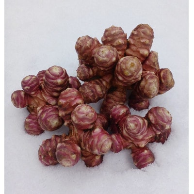 赤菊芋パウダー　100g×2袋【青森県藤崎町産】　【配送不可地域：離島・沖縄県】