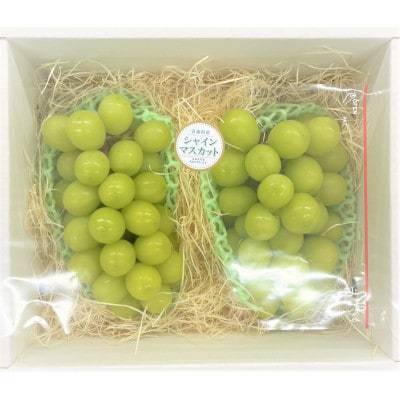 【訳あり】シャインマスカット2～3房　約1kg【配送不可地域：離島・沖縄県】