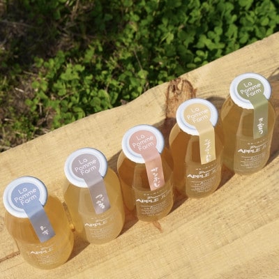 前田農園のりんごジュース　180ml　10本セット(5種類×各2本)【配送不可地域：離島・沖縄県】