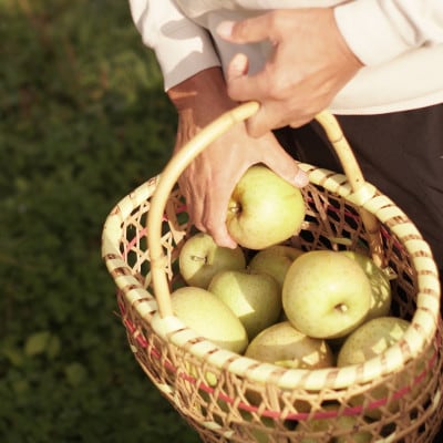【産地直送】「王林」りんご　家庭用　5kg(12～20個)【配送不可地域：離島・沖縄県】