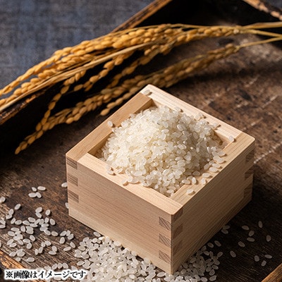 【毎月定期便】青森県産 まっしぐら 白米 10kg【青森米】全6回【配送不可地域：離島・沖縄県】