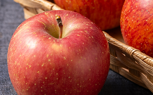 サンふじ 家庭用 約3kg(8～12個)【配送不可地域：離島・沖縄県】