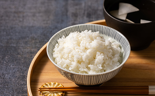 青森県産　まっしぐら　白米10kg【配送不可地域：離島・沖縄県】