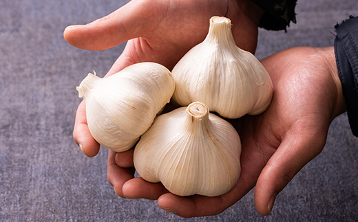 JA津軽みらいの厳選ときわにんにく個包装24玉【配送不可地域：離島・沖縄県】