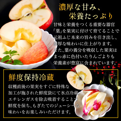 【2025年1月下旬～発送】葉とらずサンふじ 厳選小玉 約3kg ご家庭用(訳あり) 青森林檎【配送不可地域：離島・沖縄県】