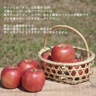 【贈答用】藤崎町産りんごサンふじ約5kg(12～20個)【配送不可地域：離島・沖縄県】