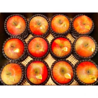 厳選・高級 葉とらずサンふじ 特A 12玉 元祖ふじりんご 青森林檎【配送不可地域：離島・沖縄県】