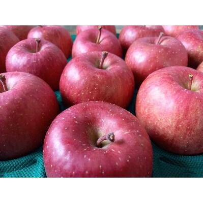 サンふじ 贈答品 約5kg(14～20個)【配送不可地域：離島・沖縄県】