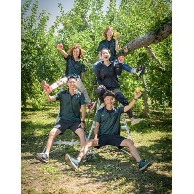 酸味!葉とらずサンジョナゴールド　訳あり　約10kg　【配送不可地域：離島・沖縄県】