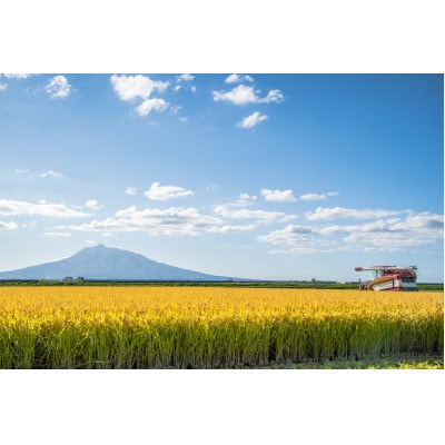 青森県産 【ナリミツ農園】特栽はれわたり　白米10kg【配送不可地域：離島・沖縄県】