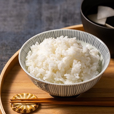 【毎月定期便】青森県産 まっしぐら 白米 10kg【青森米】全3回【配送不可地域：離島・沖縄県】