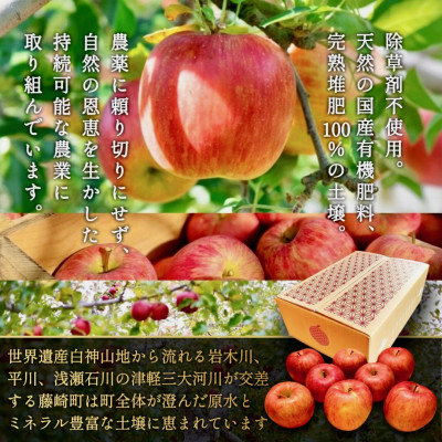 葉とらずサンふじ 大玉 約3kg(6～8玉) ご家庭用りんご(訳あり) 青森県産リンゴ 青森林檎【配送不可地域：離島・沖縄県】