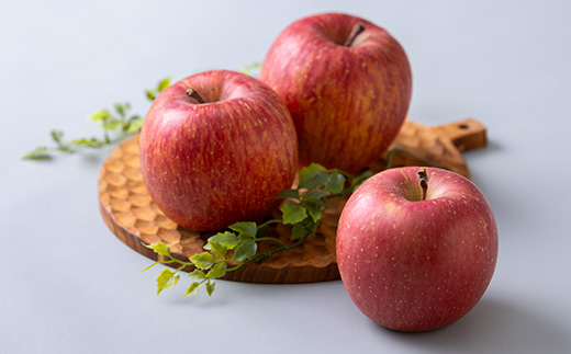 サンふじ 家庭用 約5kg(14～20個)【配送不可地域：離島・沖縄県】