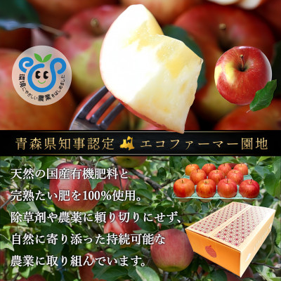 葉とらずサンふじ 厳選 小玉 約3kg ご家庭用りんご(訳あり) 青森県産リンゴ 青森林檎【配送不可地域：離島・沖縄県】