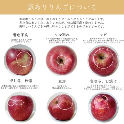【産地直送】サンふじ 家庭用 3kg(7～10個)【配送不可地域：離島・沖縄県】