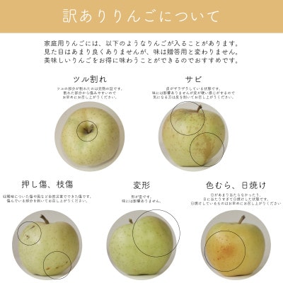 【産地直送】王林 家庭用 3kg(7～10個)【配送不可地域：離島・沖縄県】