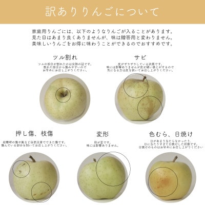 【産地直送】「王林」りんご　家庭用　5kg(12～20個)【配送不可地域：離島・沖縄県】