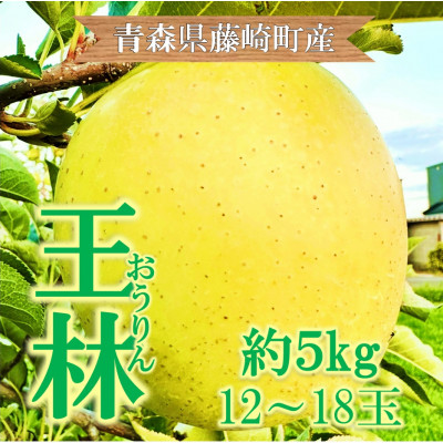 青森県藤崎町産りんご　王林　家庭用　約5kg【配送不可地域：離島・沖縄県】