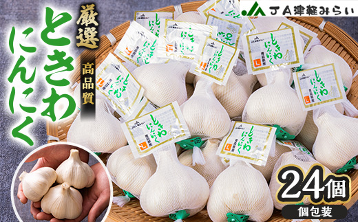 JA津軽みらいの厳選ときわにんにく個包装24玉【配送不可地域：離島・沖縄県】