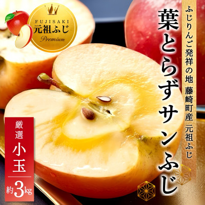 【2025年1月下旬～発送】葉とらずサンふじ 厳選小玉 約3kg ご家庭用(訳あり) 青森林檎【配送不可地域：離島・沖縄県】