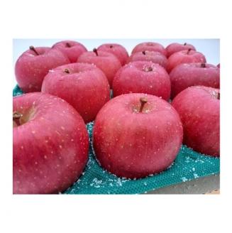 サンふじ 贈答品 約5kg(14～20個)【配送不可地域：離島・沖縄県】