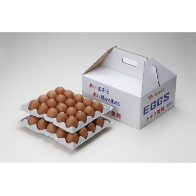 トキワのたまご(赤玉)　40個入【配送不可地域：離島・沖縄県】