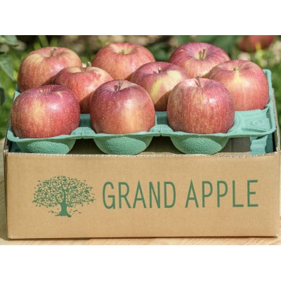 〈令和6年産　先行予約〉　皮ごとバリッ!　葉とらずサンつがる　特A　約3キロ【配送不可地域：離島・沖縄県】