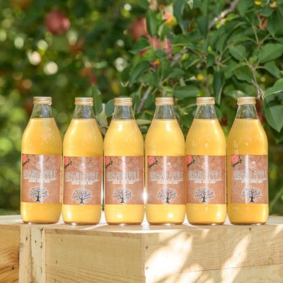 100%無添加　リンゴジュース　サンふじ6本セット【配送不可地域：離島・沖縄県】