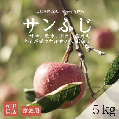 【産地直送】サンふじ　家庭用　5kg(12～20個)【配送不可地域：離島・沖縄県】