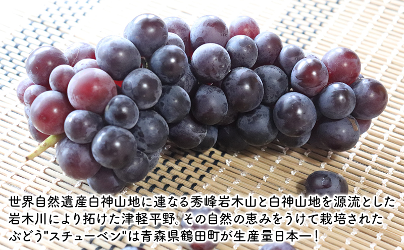 スチューベンジャム 2個セット 化粧箱入り【鶴田町産スチューベン100％使用】