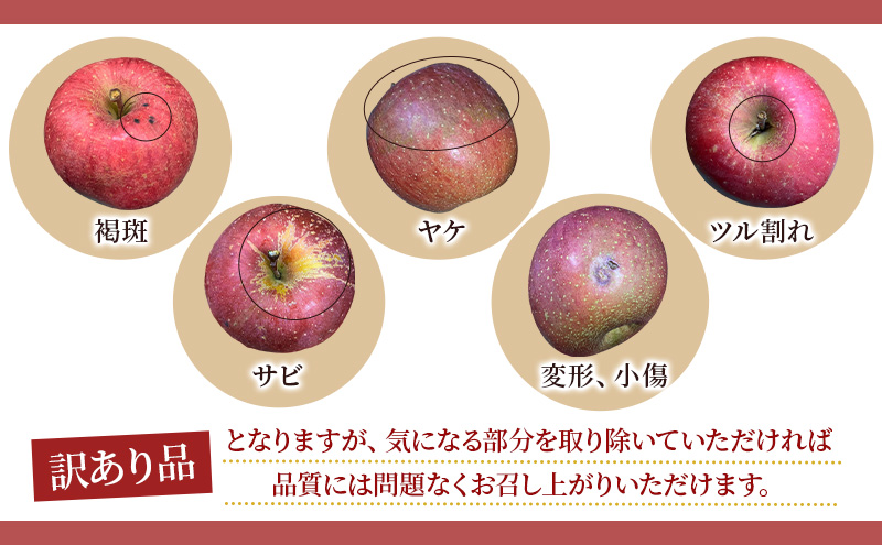 【5月 クール便配送】雪国鮮度をと閉じ込めた りんご 【平均糖度13度以上】CA貯蔵 訳あり サンふじ 約5kg リンゴ 果物 青森県 鶴田町