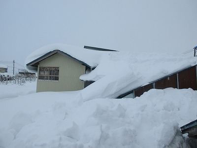 鶴田町令和8年1月青森地方大雪災害支援【返礼品なし】
