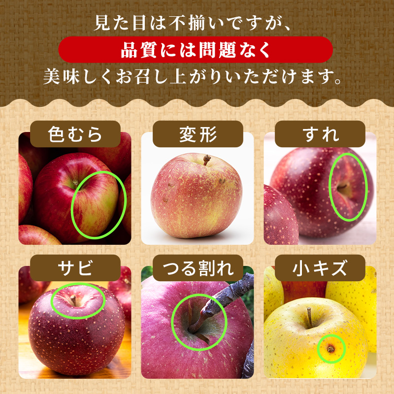 りんご 【1月・2月発送】 糖度13度以上 おもてなし用 家庭用 サンふじ 約 5kg 【 青森りんご  果物 フルーツ デザート 食後 青森県産 産地直送 贈り物  】