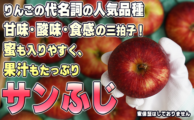 11～12月発送【糖度保証】贈答用 葉取らず サンふじ 約5kg 【特選】【鶴翔りんごGAP部会 青森県産 津軽産 リンゴ 林檎】:  鶴田町ANAのふるさと納税