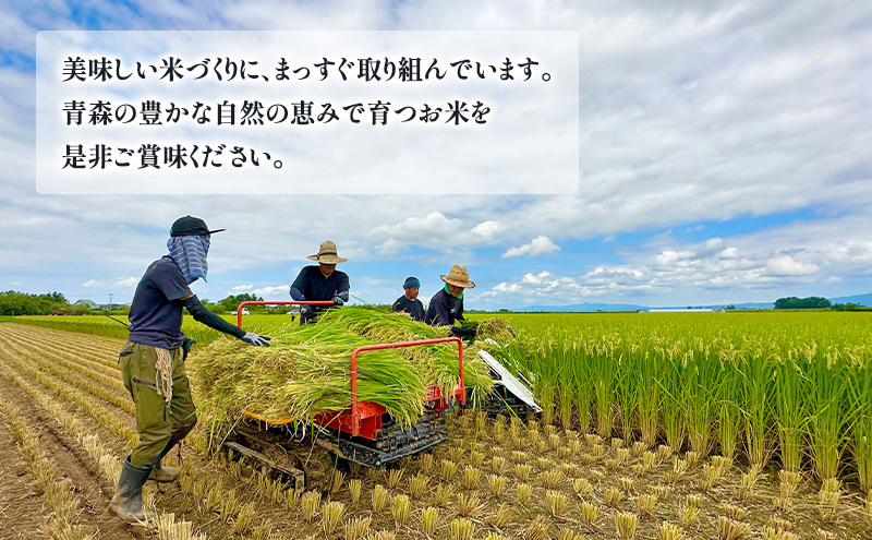 青森県鶴田町産 米 まっしぐら 5kg 白米 ご飯 ライス 鶴田町