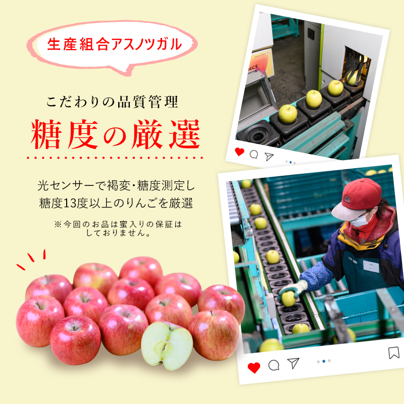 りんご 【1月・2月発送】 糖度13度以上 訳あり品 家庭用 サンふじ 約 10kg 【 青森りんご  果物 フルーツ デザート 食後 青森県産 産地直送  】