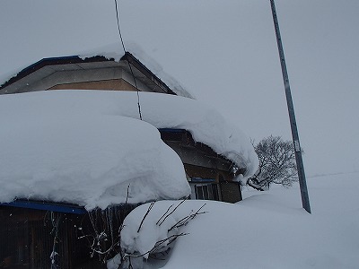 鶴田町令和8年1月青森地方大雪災害支援【返礼品なし】