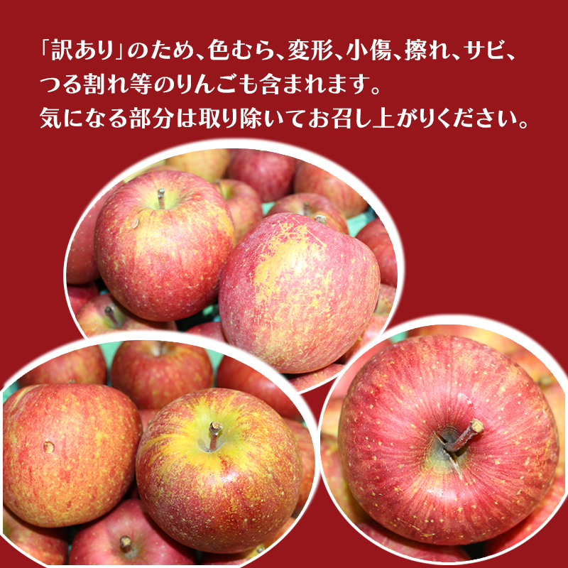 【平均糖度12度以上】10月発送 家庭用 訳あり 早生ふじ 約 5kg りんご リンゴ 林檎 果物 フルーツ わけあり 青森