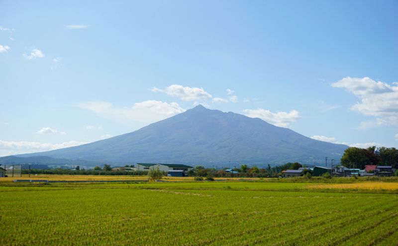 青森県鶴田町産 米 まっしぐら 5kg 白米 ご飯 ライス 鶴田町